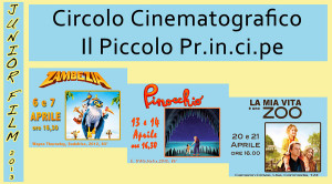 junior film 2013 al Piccolo Cinema di Bari banner